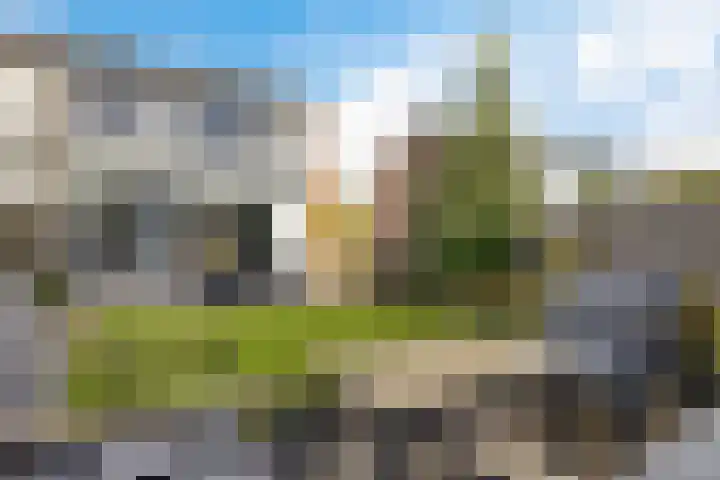 Sleedoornlaan 14 Zuidlaren thumbnail 17