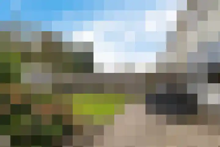 Sleedoornlaan 14 Zuidlaren thumbnail 19