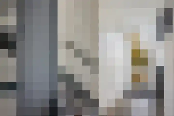 Sleedoornlaan 14 Zuidlaren thumbnail 20