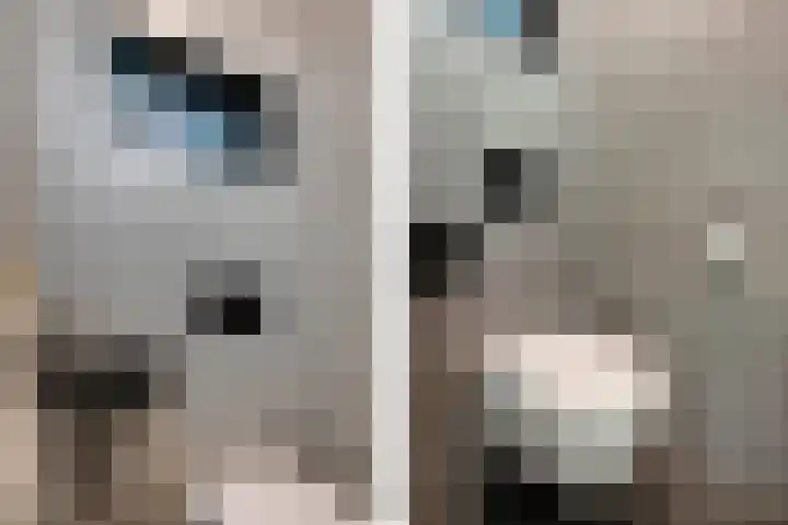 Sleedoornlaan 14 Zuidlaren thumbnail 21