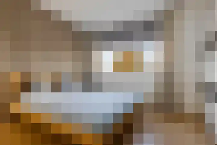 Sleedoornlaan 14 Zuidlaren thumbnail 22