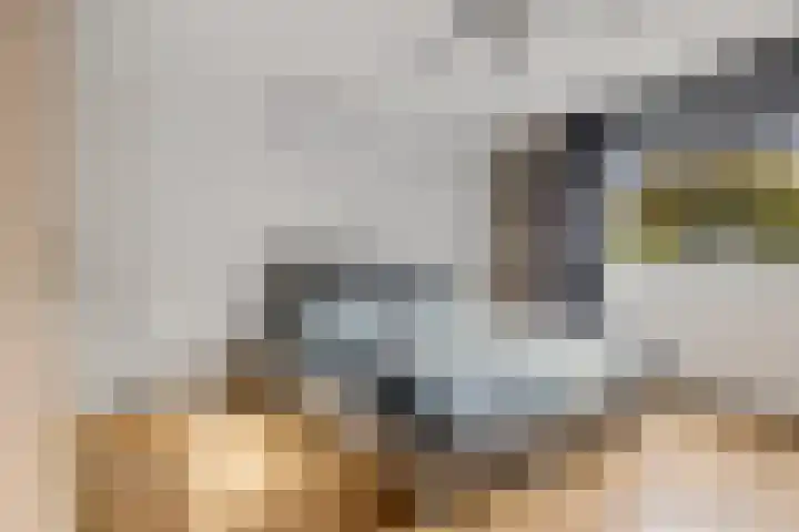 Sleedoornlaan 14 Zuidlaren thumbnail 24