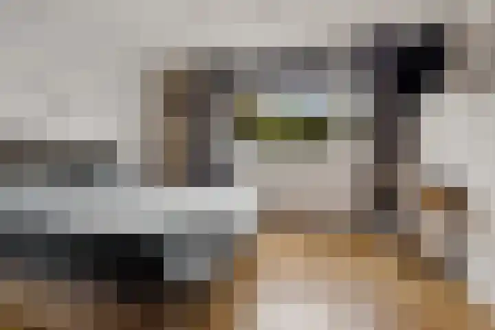 Sleedoornlaan 14 Zuidlaren thumbnail 26