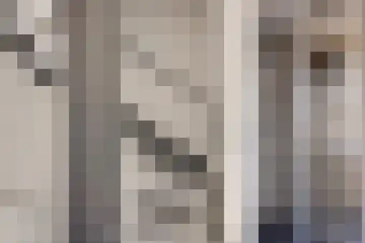 Sleedoornlaan 14 Zuidlaren thumbnail 27