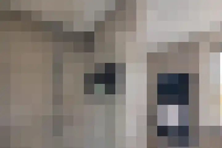 Sleedoornlaan 14 Zuidlaren thumbnail 29
