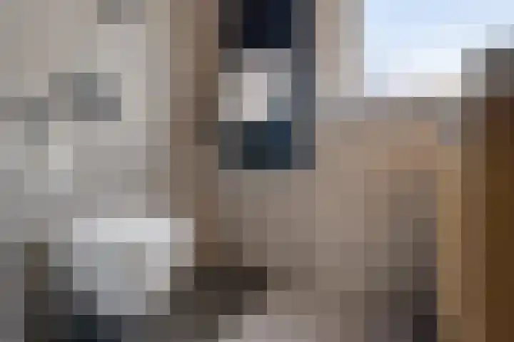 Sleedoornlaan 14 Zuidlaren thumbnail 30