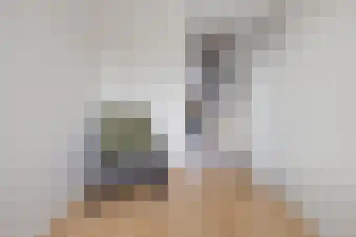 Sleedoornlaan 14 Zuidlaren thumbnail 33