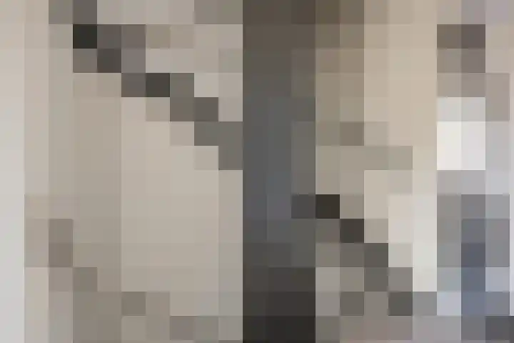 Sleedoornlaan 14 Zuidlaren thumbnail 34
