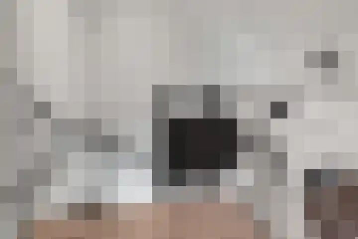 Sleedoornlaan 14 Zuidlaren thumbnail 35