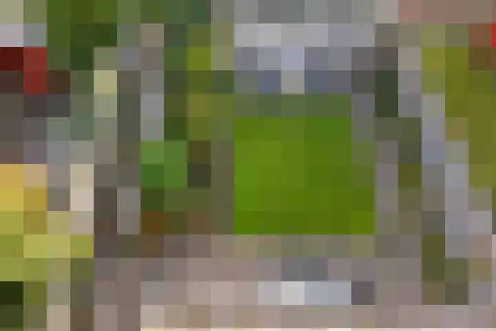 Sleedoornlaan 14 Zuidlaren thumbnail 37