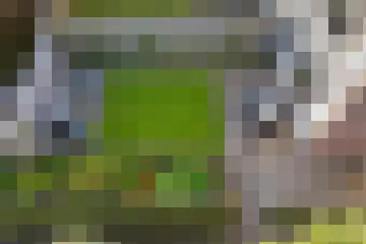 Sleedoornlaan 14 Zuidlaren thumbnail 38
