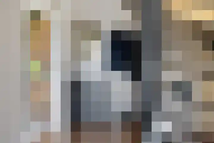 Sleedoornlaan 14 Zuidlaren thumbnail 5