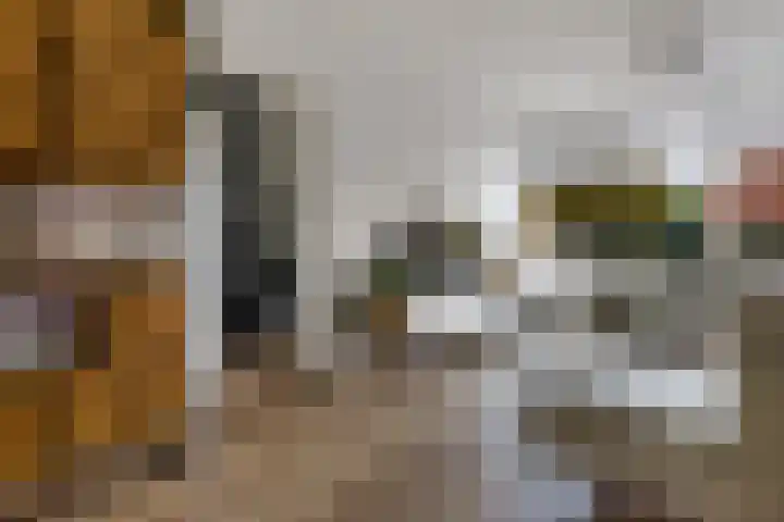 Sleedoornlaan 14 Zuidlaren thumbnail 6