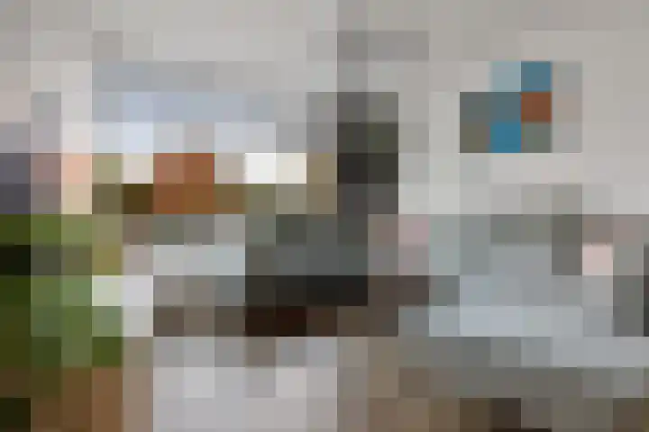 Sleedoornlaan 14 Zuidlaren thumbnail 7