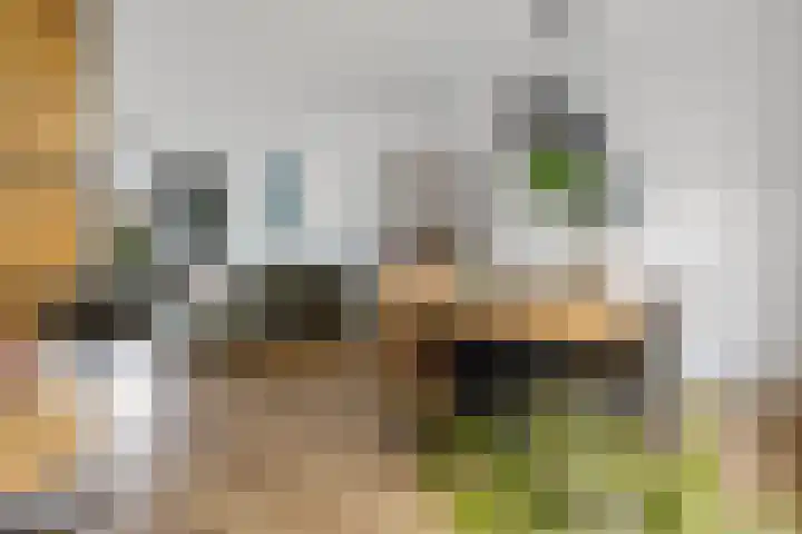 Sleedoornlaan 14 Zuidlaren thumbnail 8