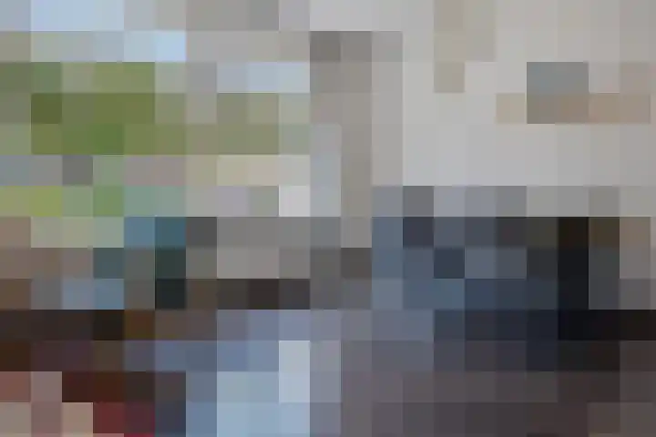 Sleedoornlaan 17 Bovensmilde thumbnail 12