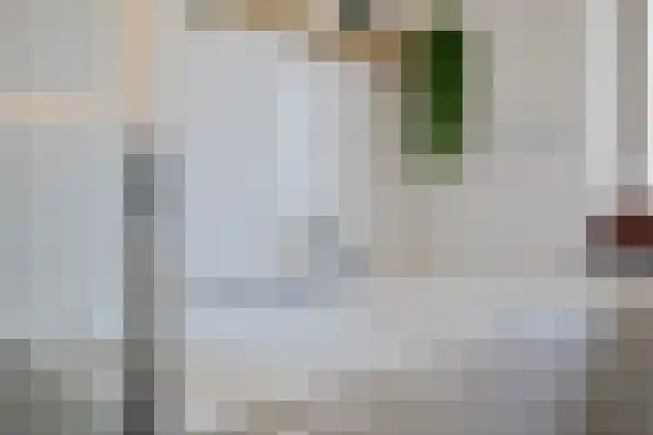 Sleedoornlaan 17 Bovensmilde thumbnail 23