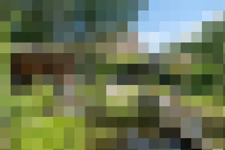 Sleedoornlaan 17 Bovensmilde thumbnail 33