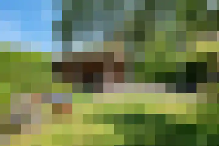 Sleedoornlaan 17 Bovensmilde thumbnail 34