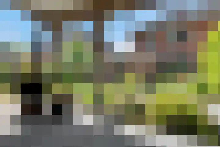 Sleedoornlaan 17 Bovensmilde thumbnail 35