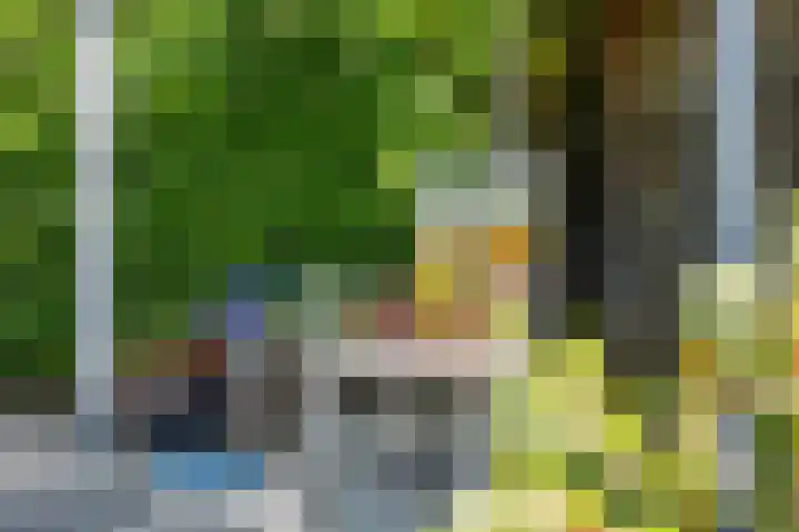 Sleedoornlaan 17 Bovensmilde thumbnail 37