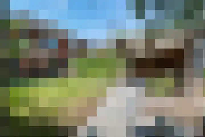 Sleedoornlaan 17 Bovensmilde thumbnail 38
