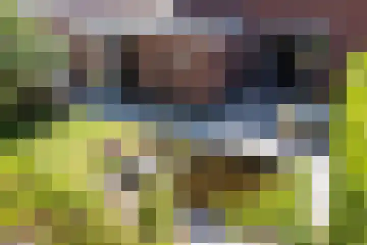 Sleedoornlaan 17 Bovensmilde thumbnail 6