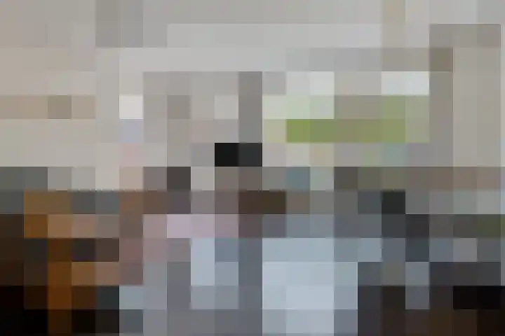 Sleedoornlaan 17 Bovensmilde thumbnail 9