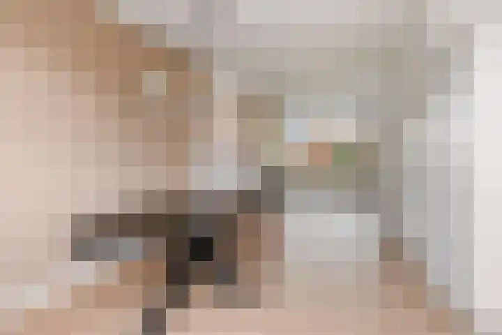 Sleedoornlaan 27 Arnhem thumbnail 9