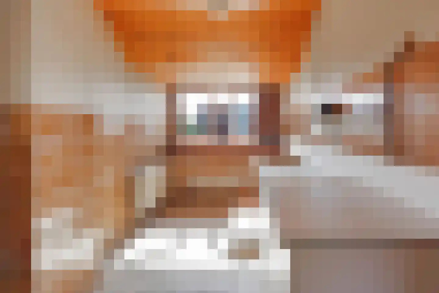 Sleedoornlaan 30 Rotterdam thumbnail 16