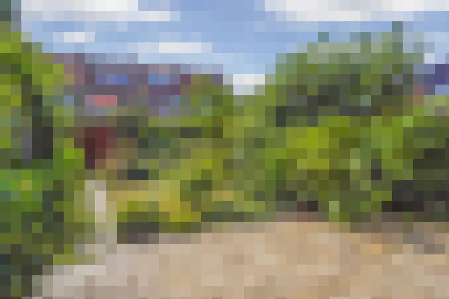 Sleedoornlaan 30 Rotterdam thumbnail 17