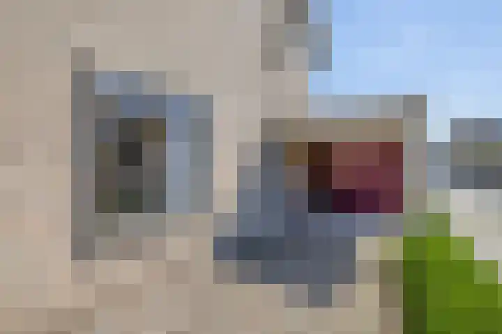 Sleedoornlaan 47 Nuenen thumbnail 10