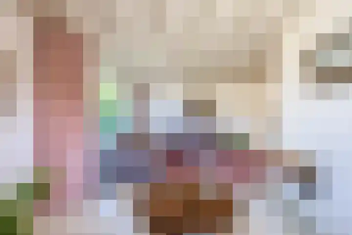 Sleedoornlaan 47 Nuenen thumbnail 17