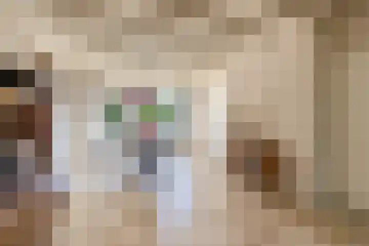 Sleedoornlaan 47 Nuenen thumbnail 19