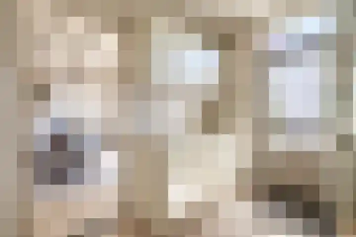Sleedoornlaan 47 Nuenen thumbnail 21