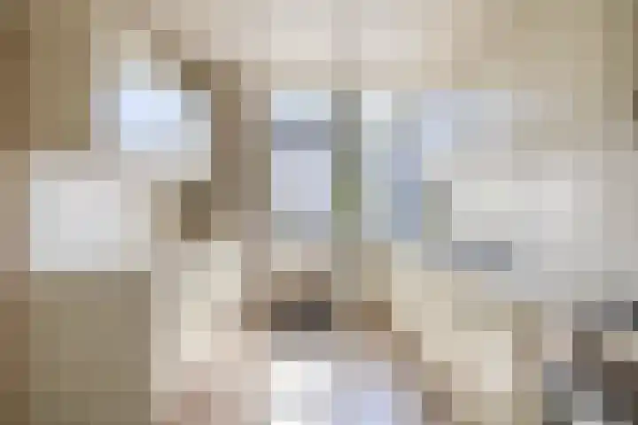 Sleedoornlaan 47 Nuenen thumbnail 22