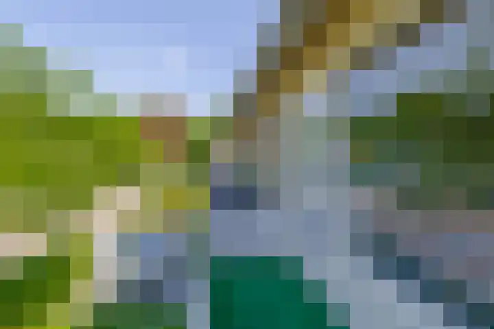 Sleedoornlaan 47 Nuenen thumbnail 28