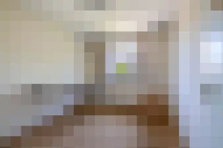Sleedoornlaan 47 Nuenen thumbnail 30