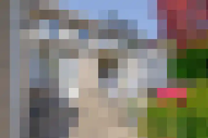 Sleedoornlaan 47 Nuenen thumbnail 37
