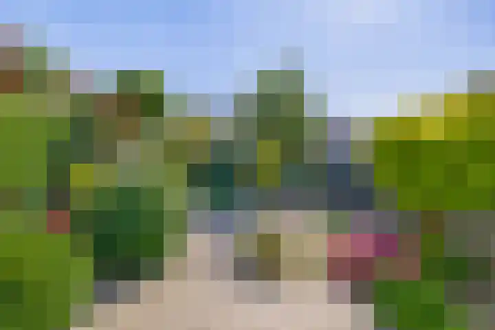 Sleedoornlaan 47 Nuenen thumbnail 38