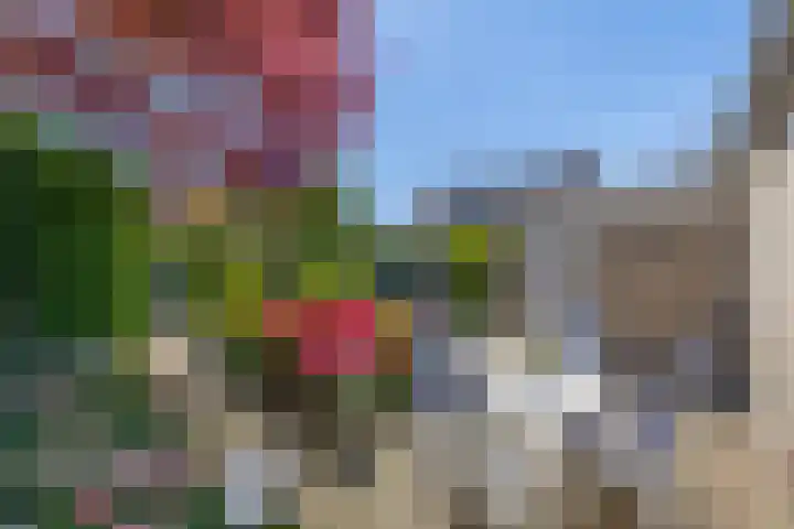 Sleedoornlaan 47 Nuenen thumbnail 39