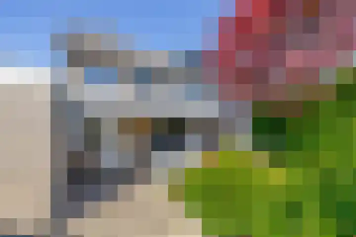 Sleedoornlaan 47 Nuenen thumbnail 4