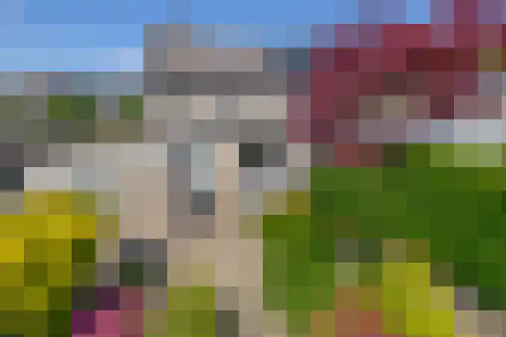 Sleedoornlaan 47 Nuenen thumbnail 42