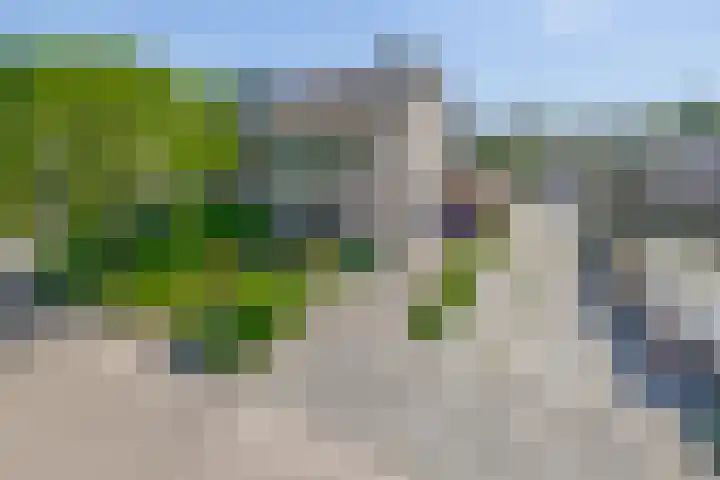 Sleedoornlaan 47 Nuenen thumbnail 5