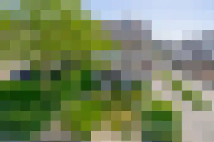 Sleedoornlaan 47 Nuenen thumbnail 6
