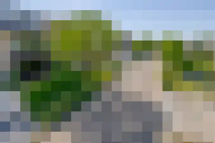 Sleedoornlaan 47 Nuenen thumbnail 7