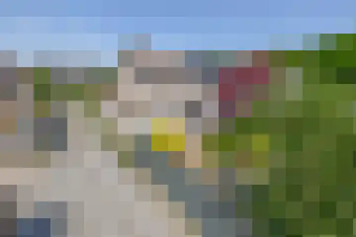 Sleedoornlaan 47 Nuenen thumbnail 8