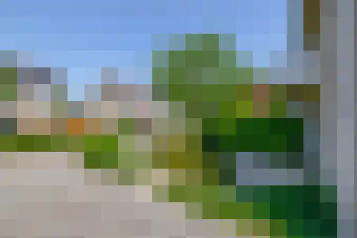 Sleedoornlaan 47 Nuenen thumbnail 9
