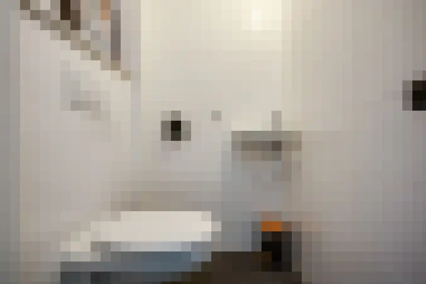 Sleedoornlaan 5 Bovensmilde thumbnail 15