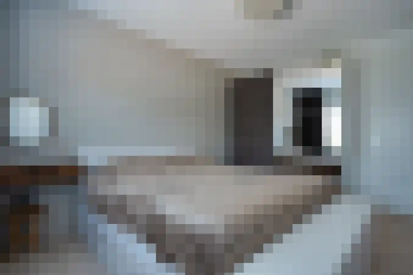 Sleedoornlaan 5 Bovensmilde thumbnail 18